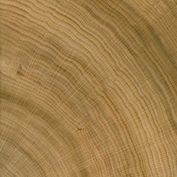 Veneer Express Layons Brainwood Half Disks