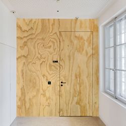 Türe Furnier Seekiefer geschält 1 Blatt