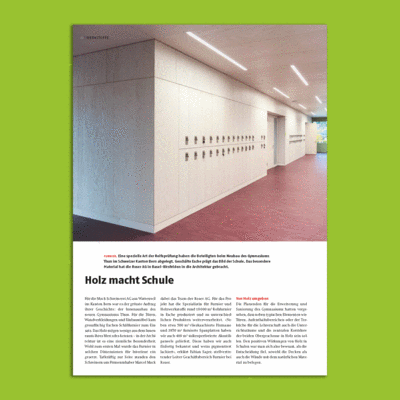 Esche geschält für den Umbau des Gymnasium Thuns Eschen Schälfurnier Gymnasium Thun