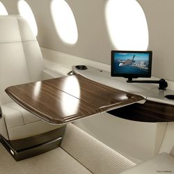 Wood species Walnut american, private jet