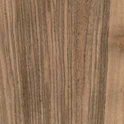 Veneer Walnut european