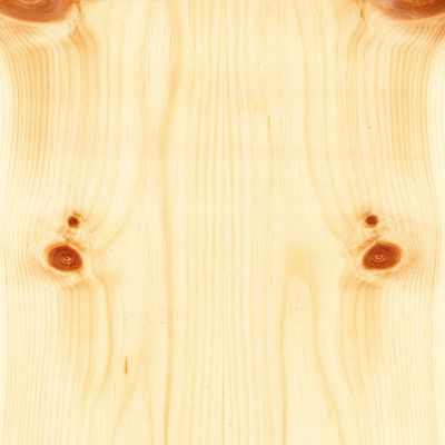 Veneer Pine Swiss 