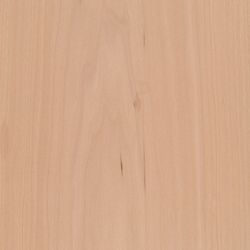 Veneer Maple, european 