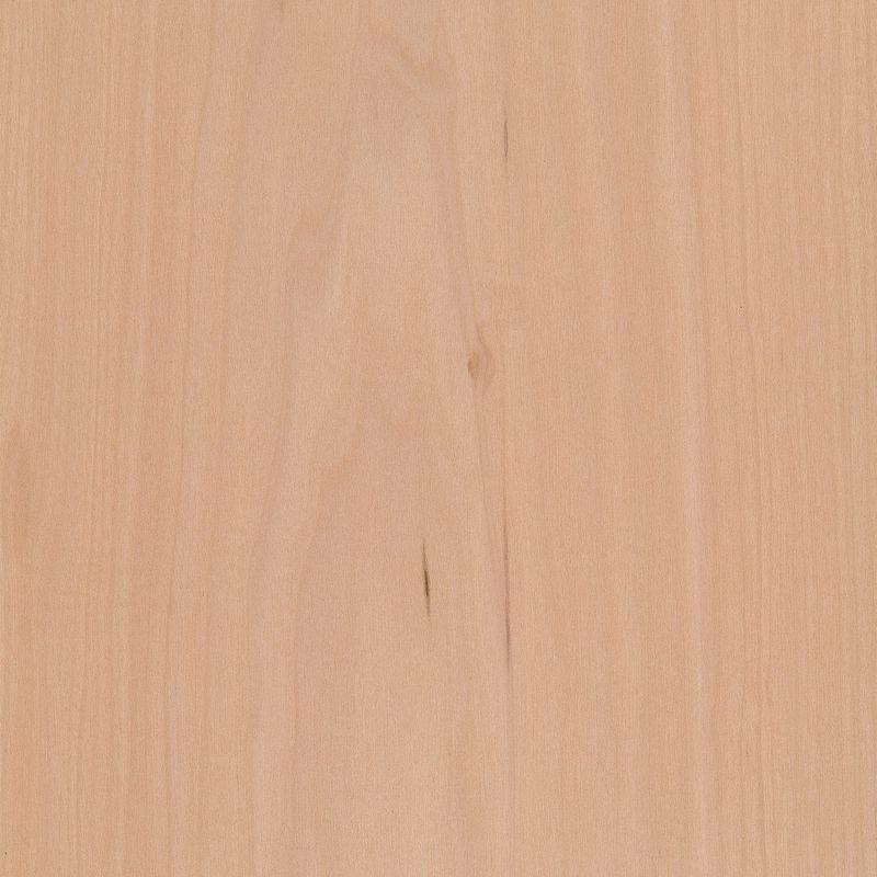 Veneer Maple, european 