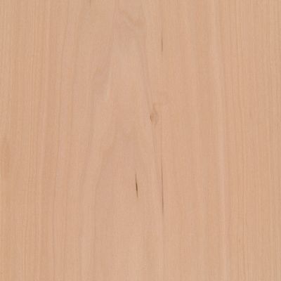 Veneer Maple, european 