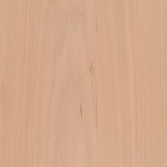 Veneer Maple, european 