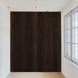 Veneer door oak smoked Structura