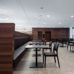 Wood species Black Locust smoked, dining area