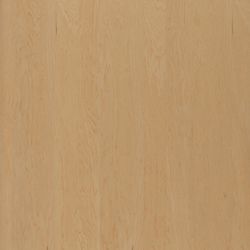 Veneer Express Layons peeled Ash
