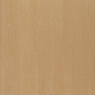 Furnier Express Fixmasse Esche geschält