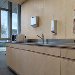 Rotary cut ash wood veneer