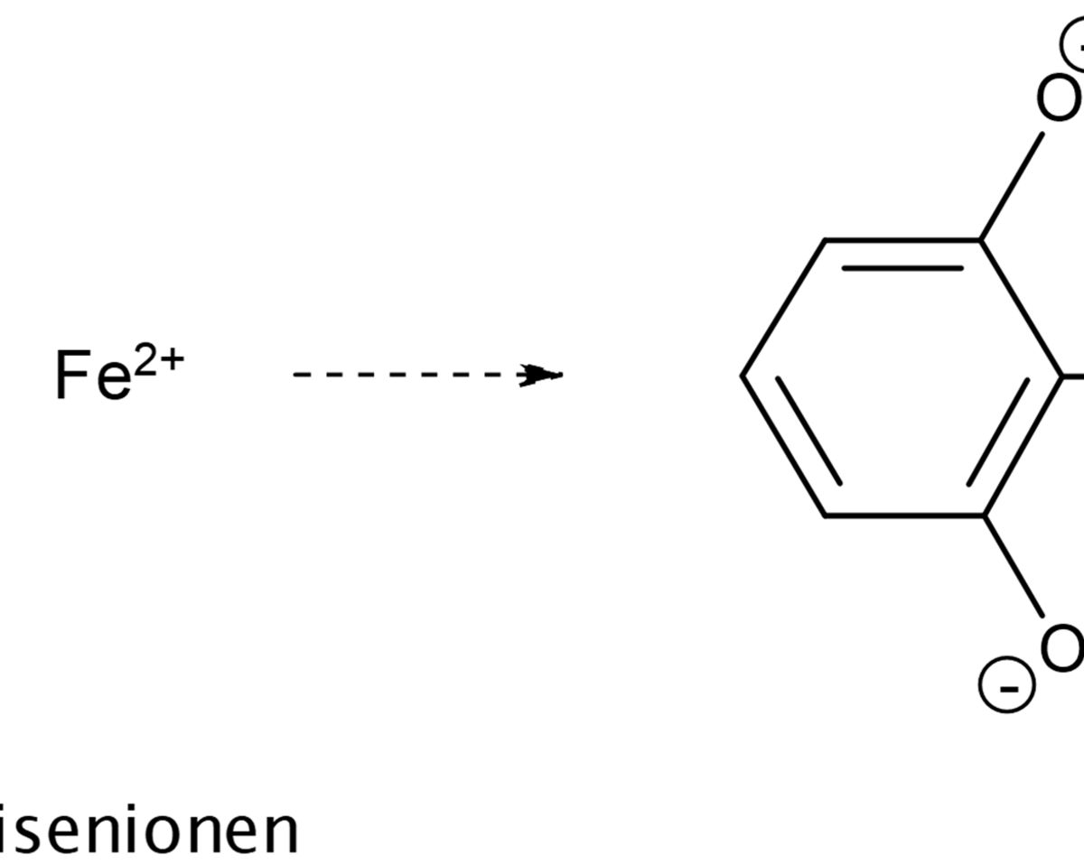 Wood's own constituents (tannins) and iron ions cause greying