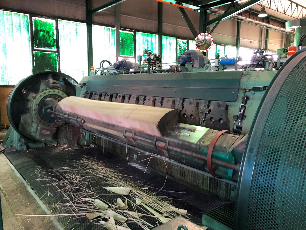 Roser AG during veneer production Veneer slicing machine