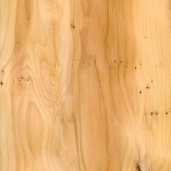 Veneer Yew Burl