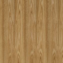 Veneer Express Layons Eucalyptus Backing grade