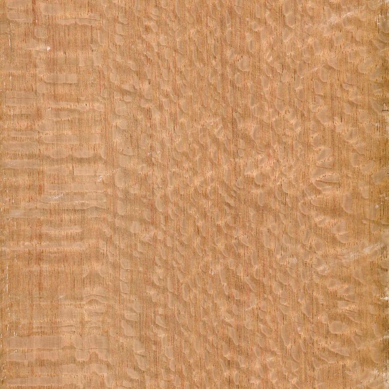Veneer Silky Oak