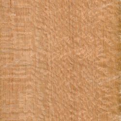 Veneer Silky Oak