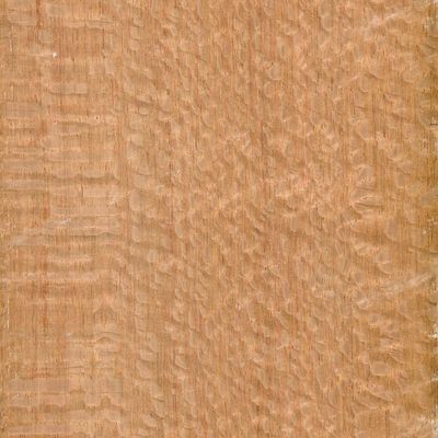 Veneer Silky Oak