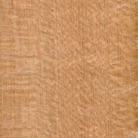 Wood species Silky Oak
