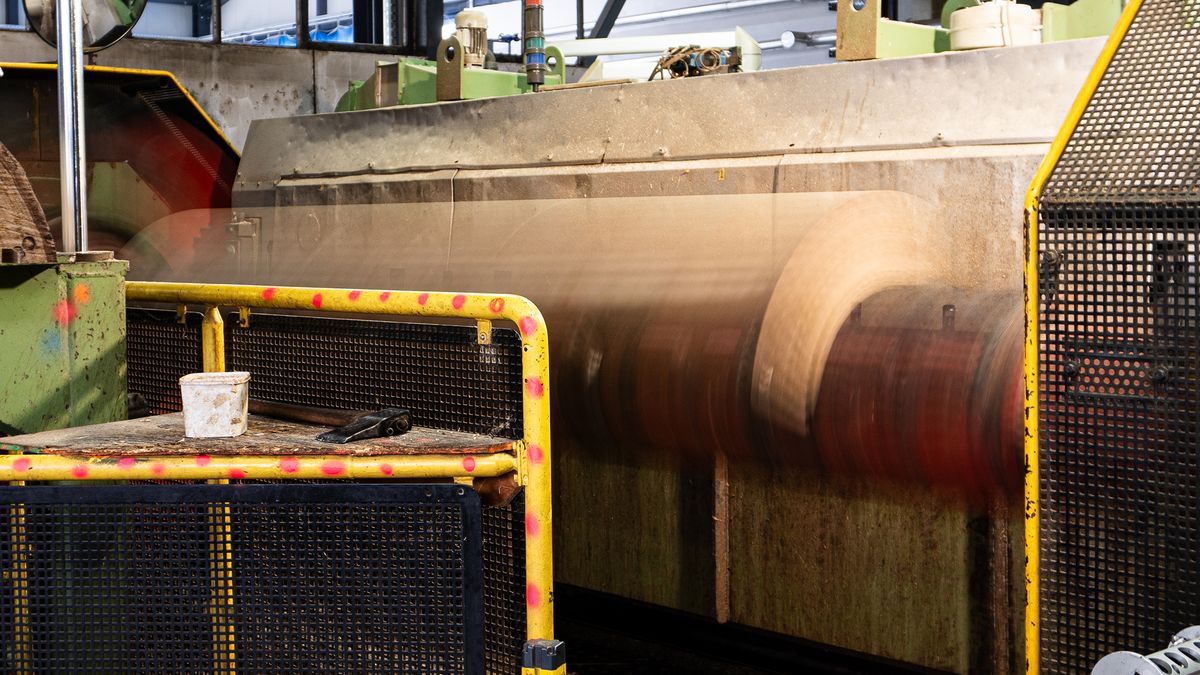 Roser AG during veneer production Slicing rotary cut veneer