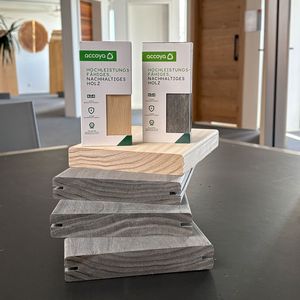 Innovatives Türensortiment in Birsfelden bei Basel