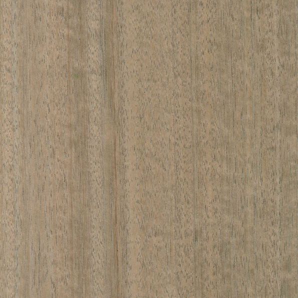 Wood type Eucalyptus Stone / grey