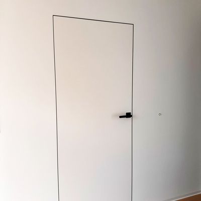 Flush to wall interior doors modern