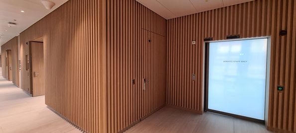 The Circle veneer project