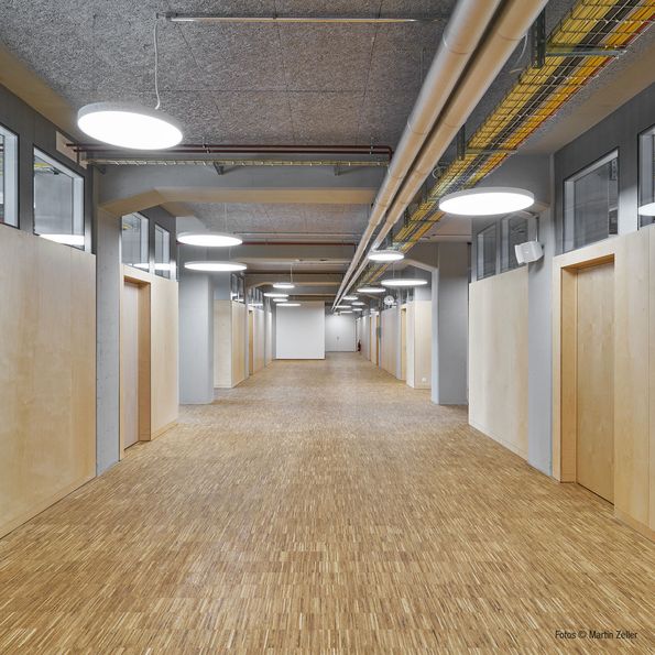 Corridor with doors and wall panels in peeled birch