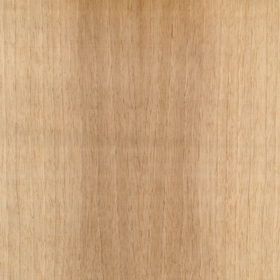 Veneer Walnut Sap european