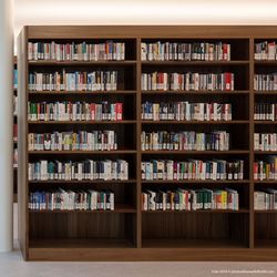 ZHB Luzern Bücherregal Ulme Stone Furnier
