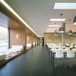 Wood species Elm, sitting area, cafeteria