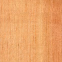 Furnier Oregon Pine (Douglasie)