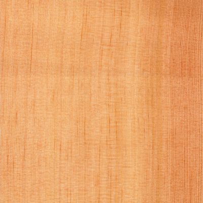 Furnier Oregon Pine (Douglasie)