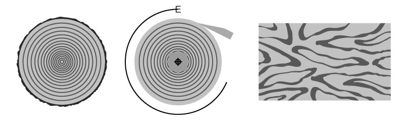 Veneer production: rotary peeling