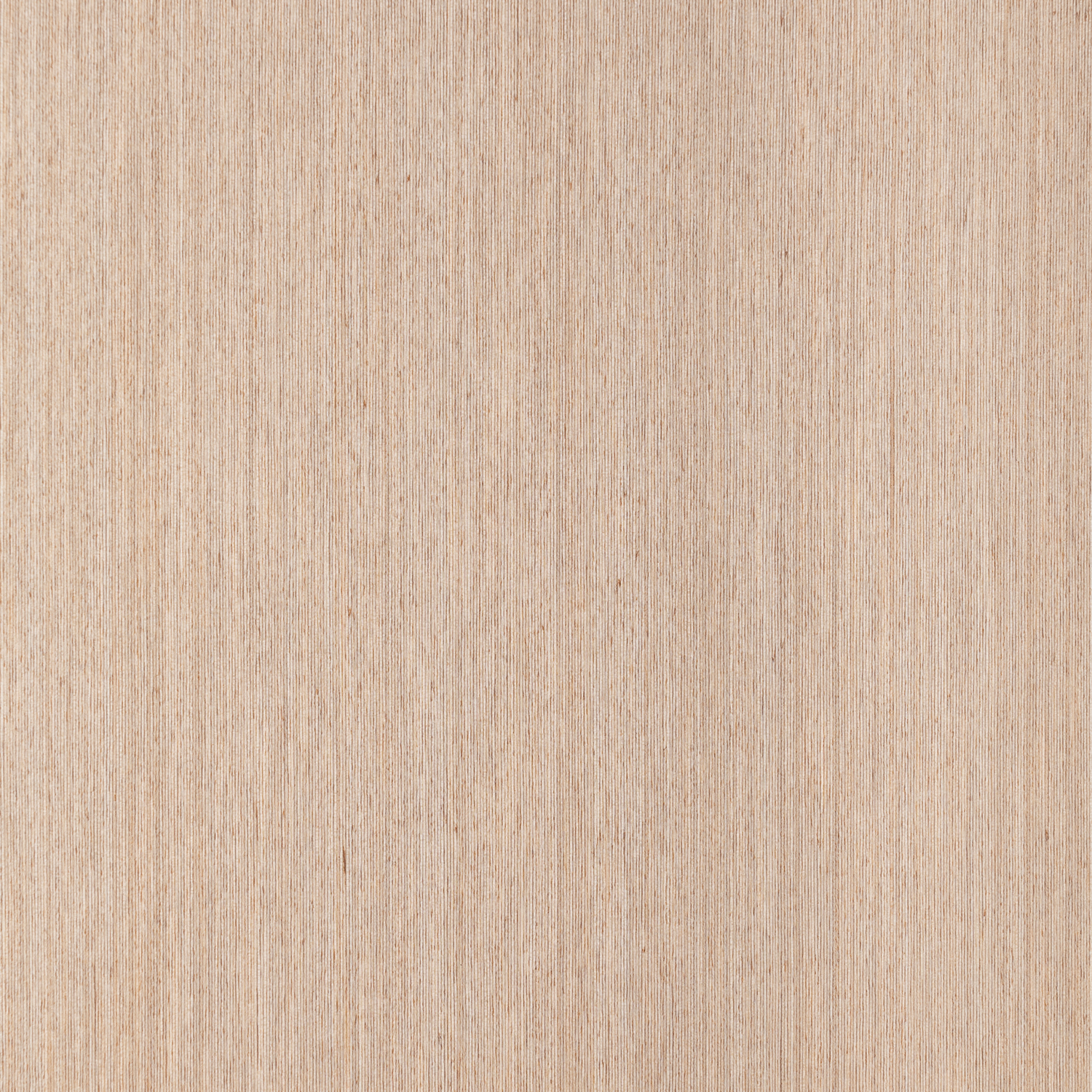 Veneer Express Design Birch silver
