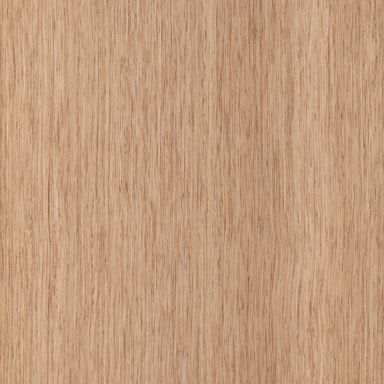 Luxus Holz Furniere US Eiche weiss
