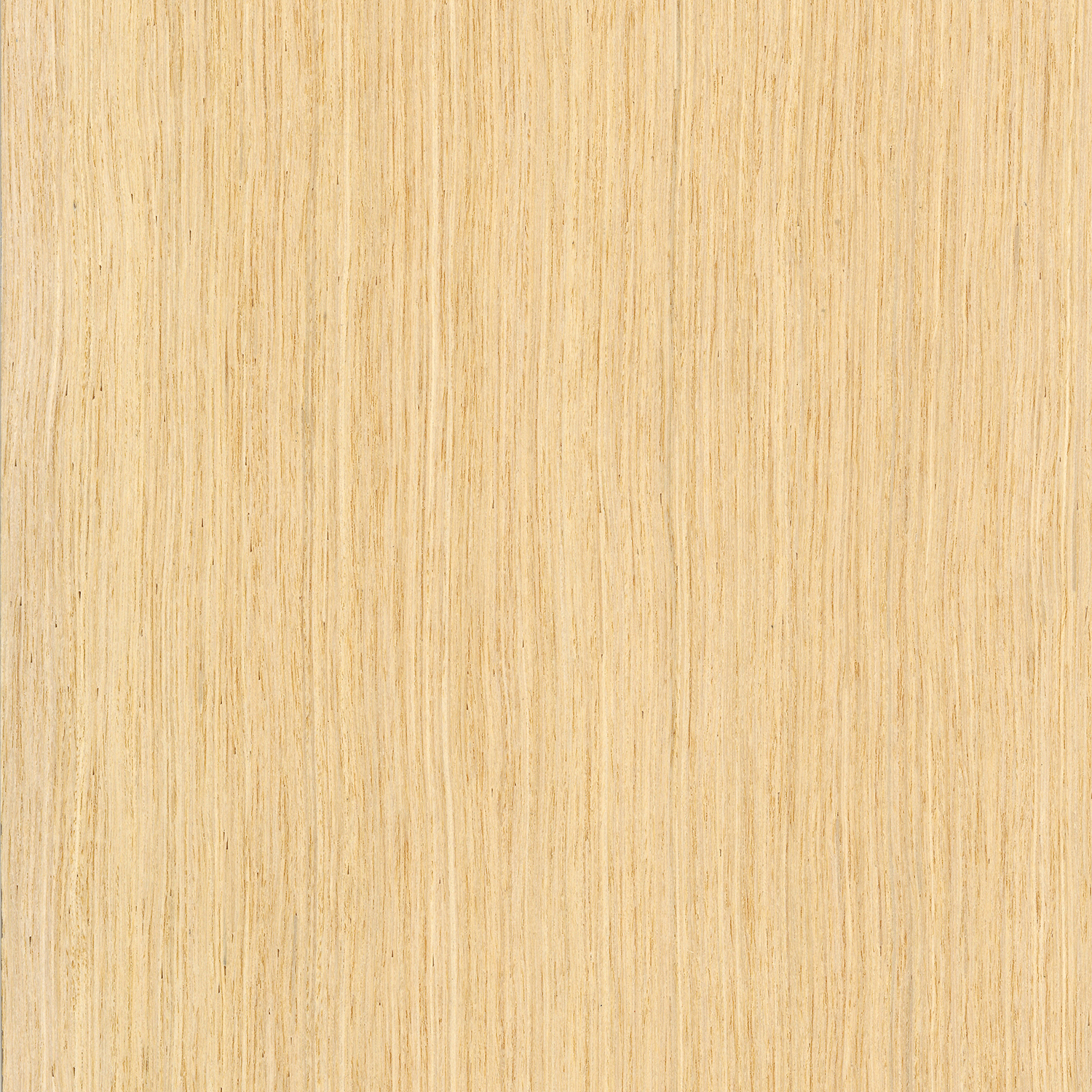 Wood design ideas with Ash white