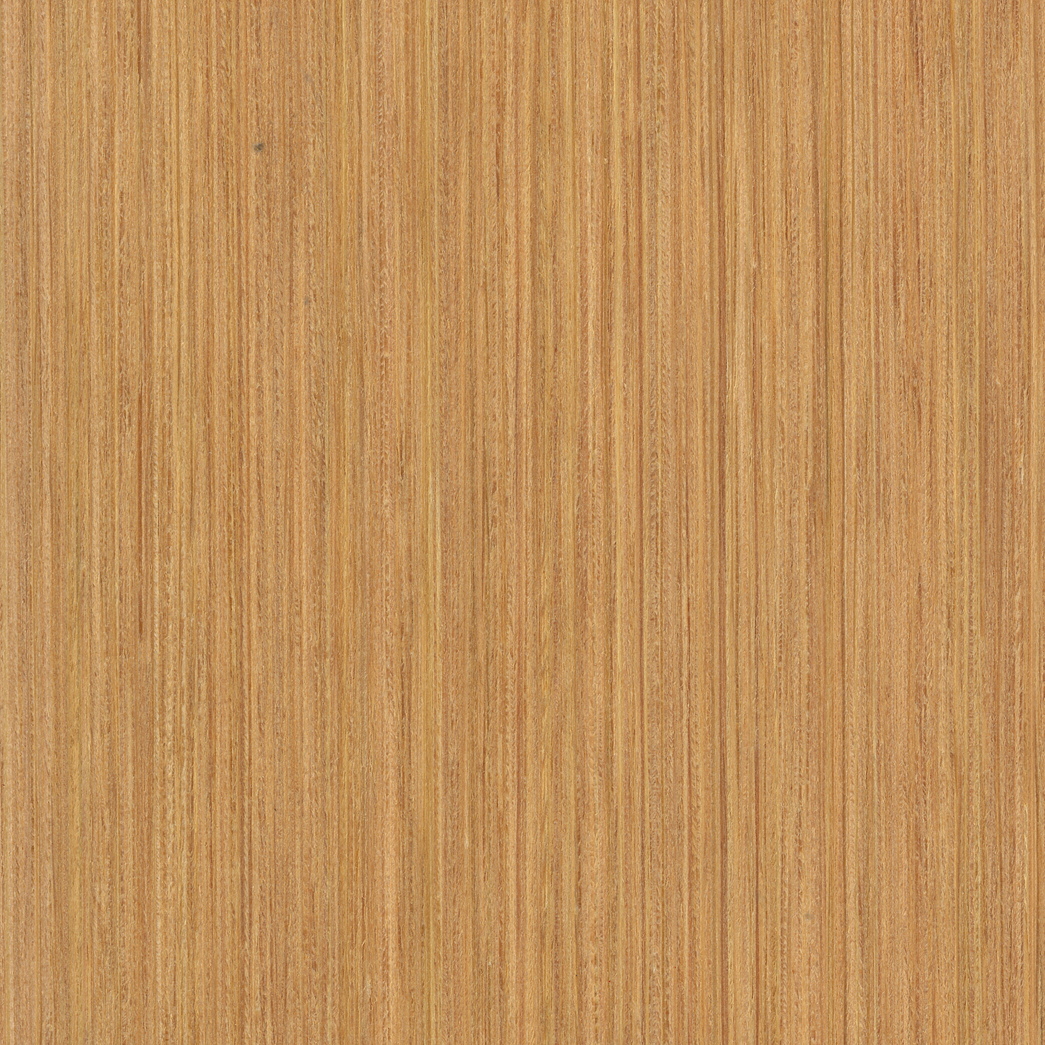 Design wood surfaces, design veneer Larch nature