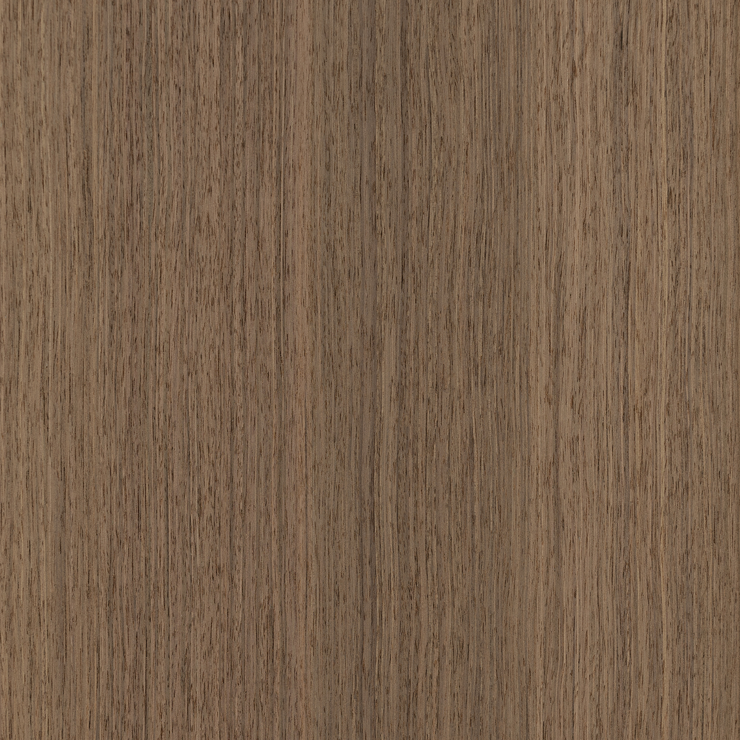 Furnier Express Design Nussbaum amerikanisch
