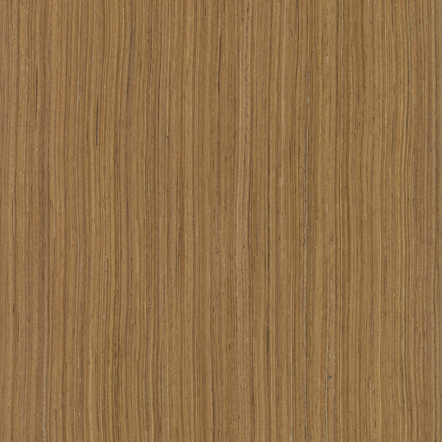 Furnier für Möbel, Teak