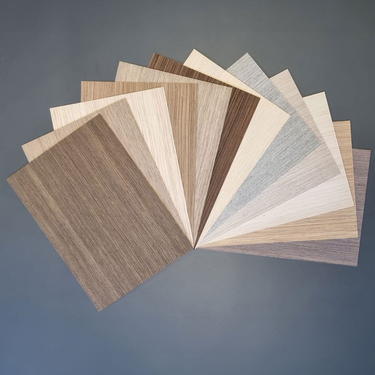 VENEER EXPRESS Design Overview