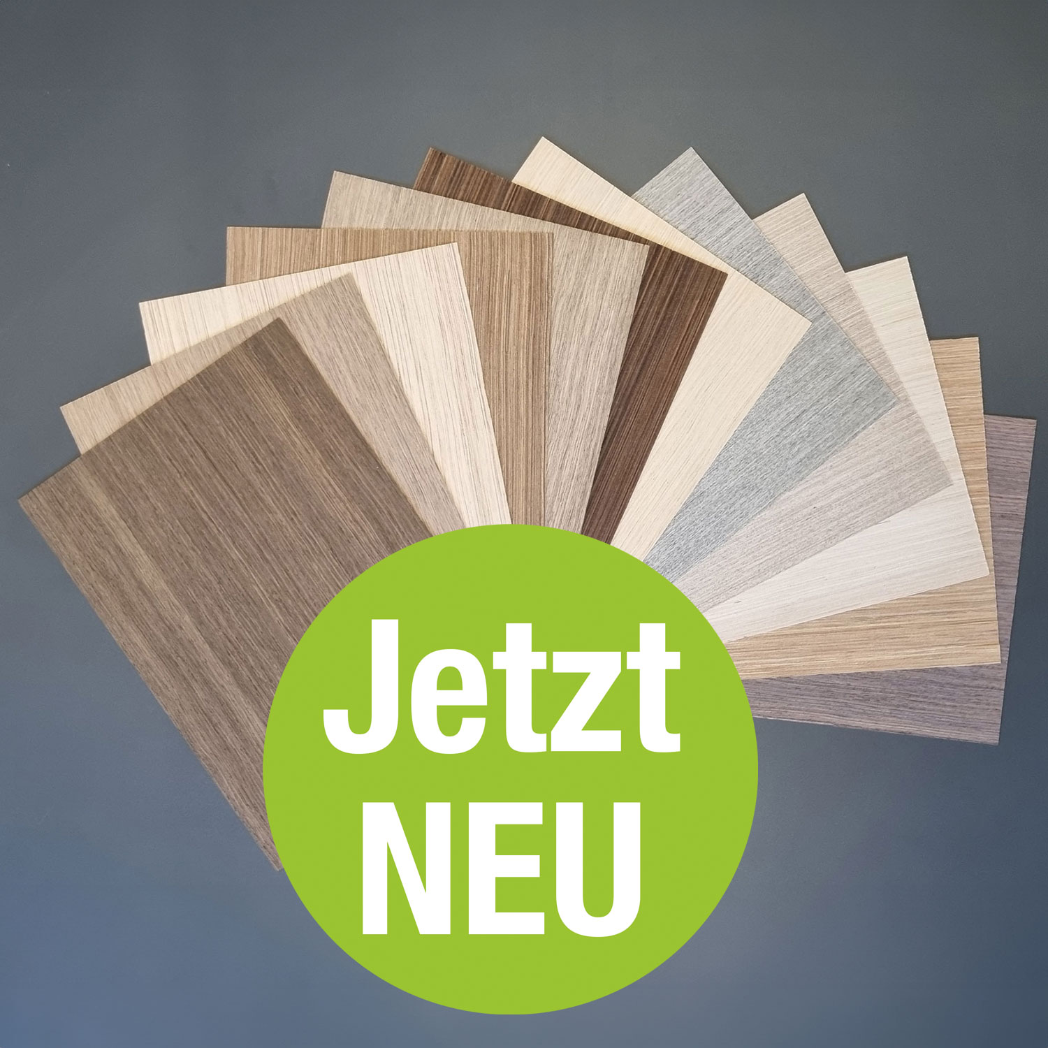 Technical veneers Veneer Express Design