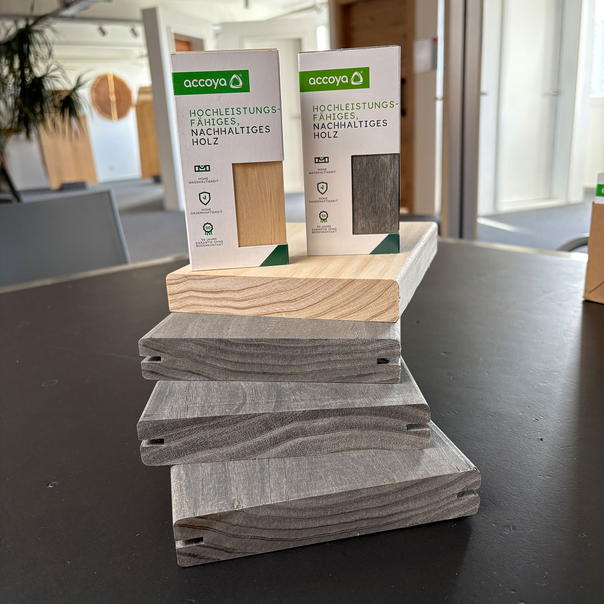 Accoya decking consultation in Birsfelden near Basel