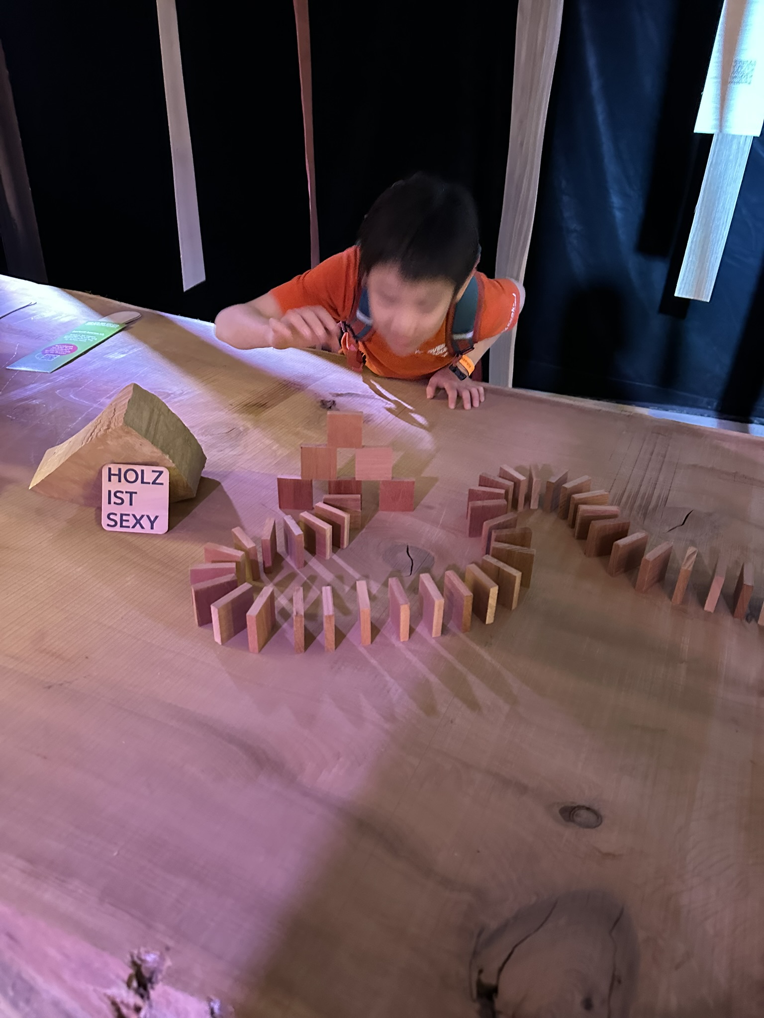 Regionale Verankerung, Handwerk erleben