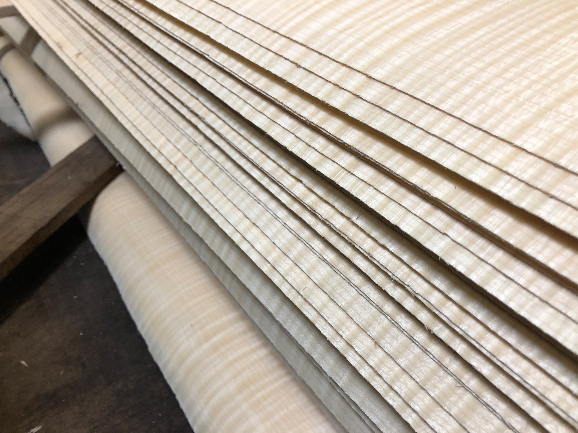 Furnierproduktion: Das Filet des Baumes