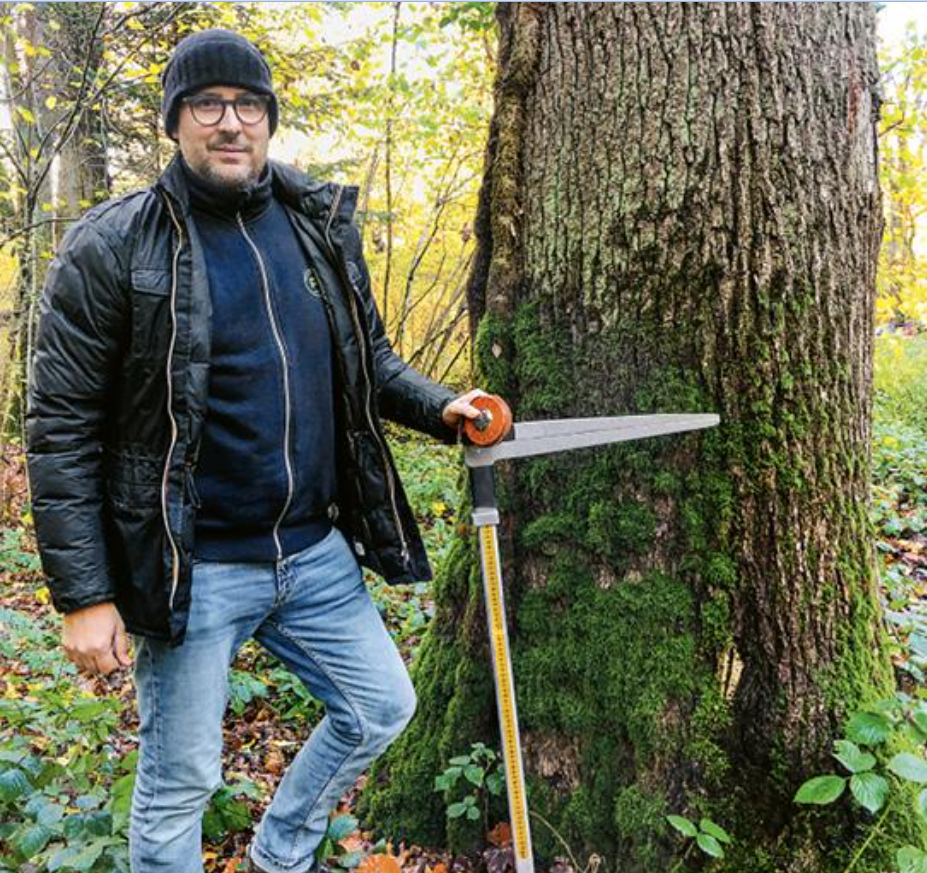 In search of the perfect log for veneer production