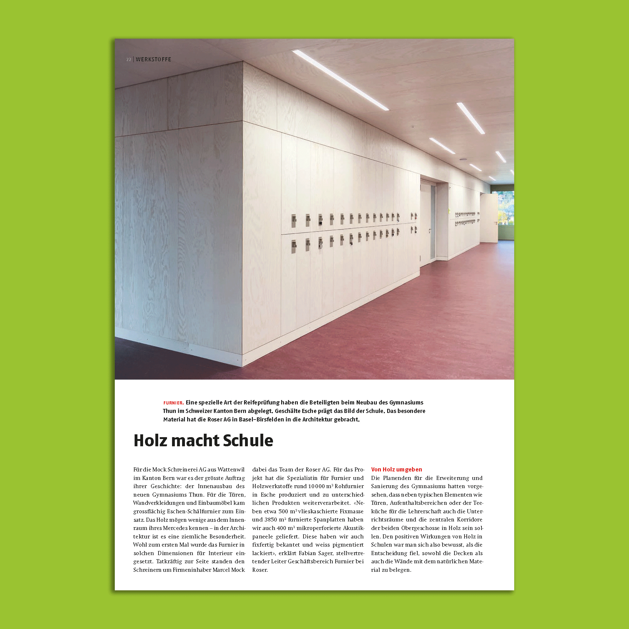 Esche geschält für den Umbau des Gymnasium Thuns Eschen Schälfurnier Gymnasium Thun