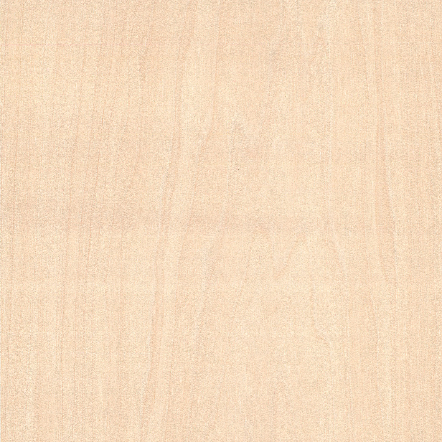 Veneer Sycamore