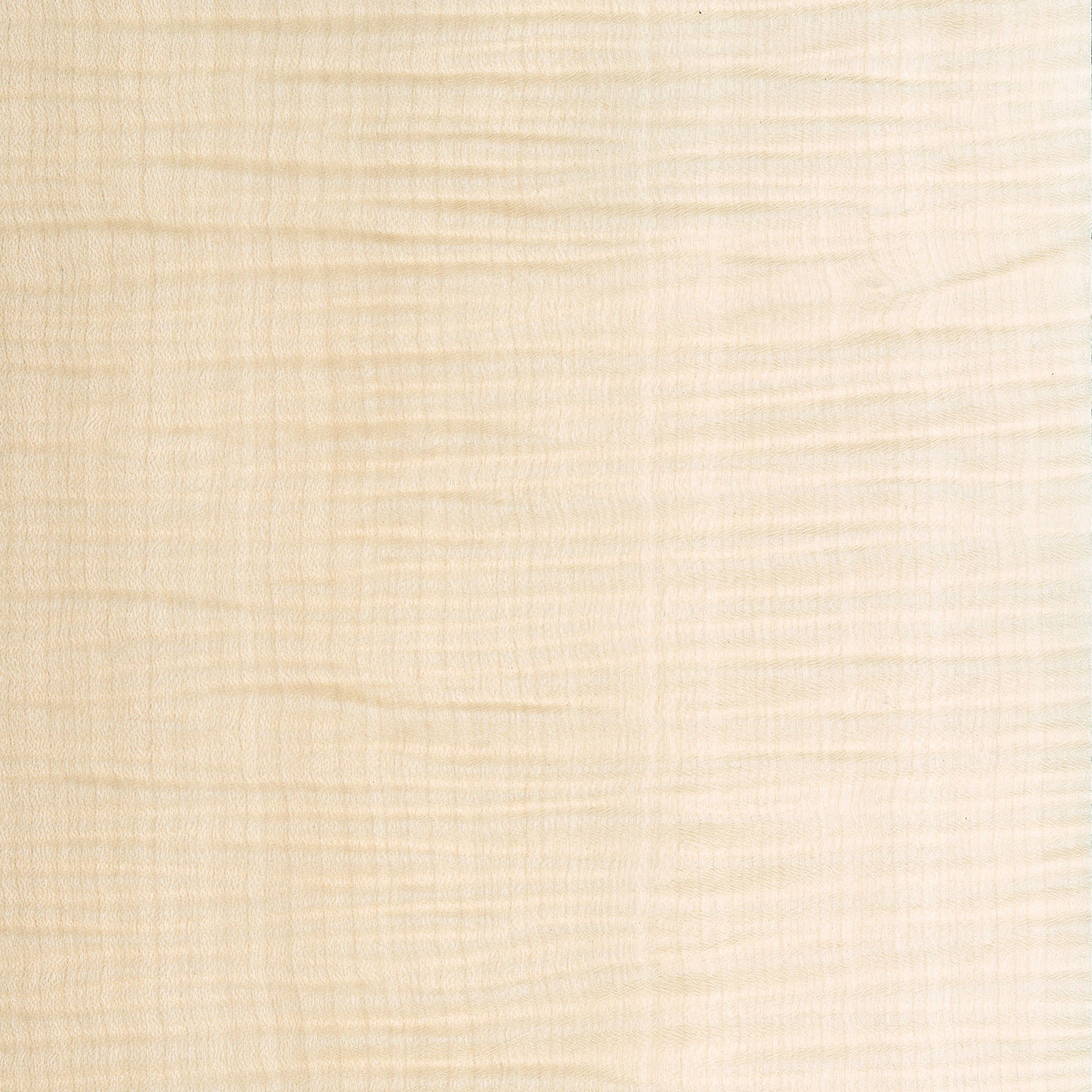 Veneer Sycamore figured